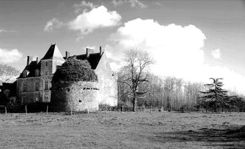 Peintre Bouaye