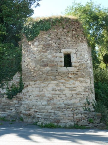 Peintre Campbon