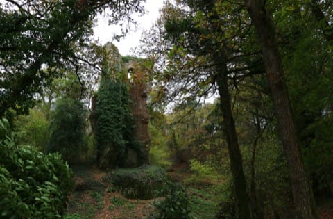 Peintre Derval