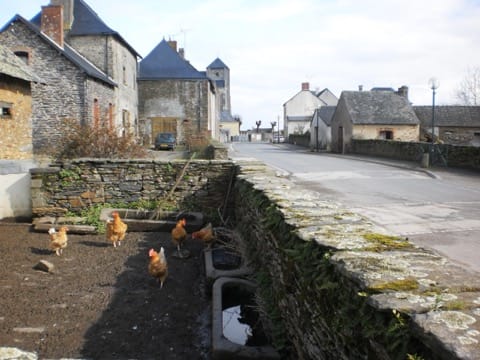 Peintre Juigné-des-Moutiers