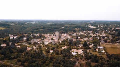 Peintre Le Cellier