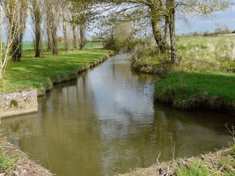 Peintre Mésanger