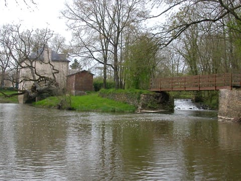 Peintre Mouais