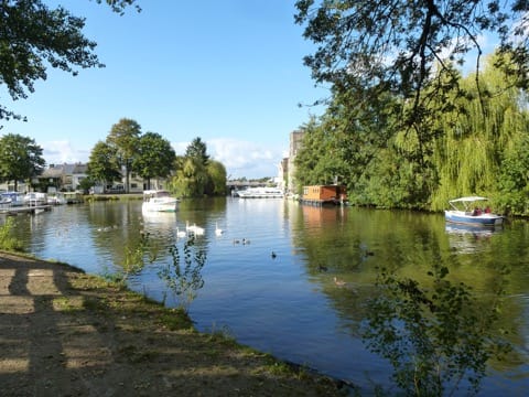 Peintre Nort-sur-Erdre