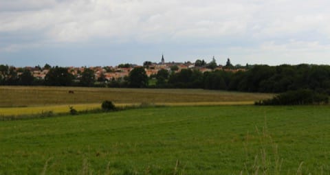Peintre Remouillé