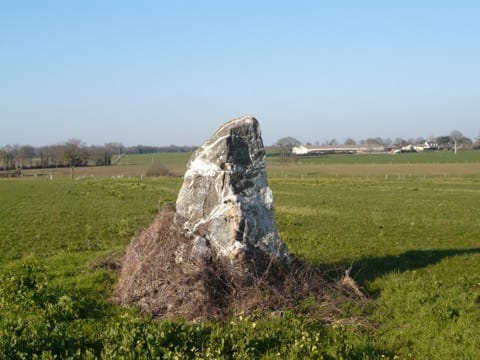 Peintre Treffieux